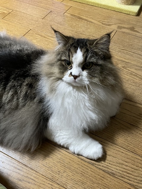 B6A602D3-DD3B-444B-8EEE-5D85B8A1D4DE