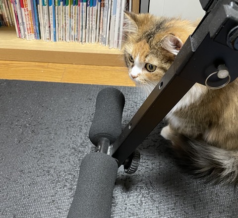 E0FA8C5D-9C0D-480C-B936-4A668962B007