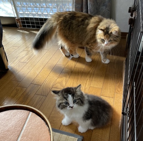 118FB4B5-B174-4CC3-B360-26ECD2CB0046