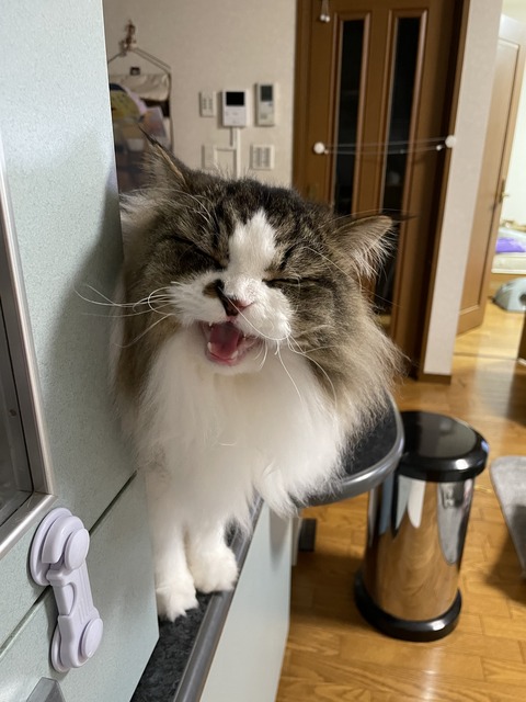 D48BE154-A17E-4864-BC54-45FC0B26D34B