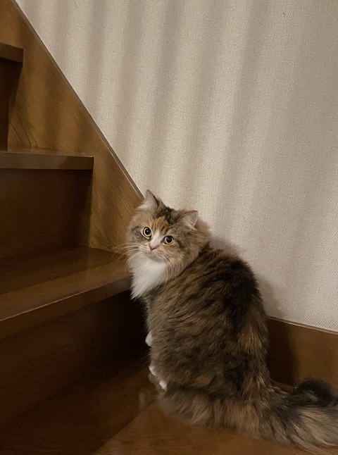 10BE5DFB-5A60-4B85-B7B4-8F69D954603A