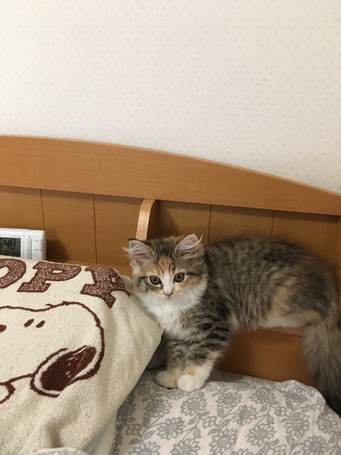 ED4B612D-4321-430E-A913-024A0229AF4D