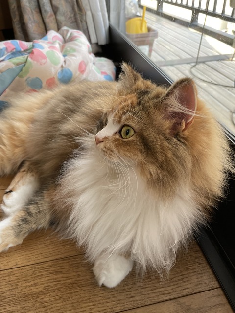 57C476A0-692C-4F03-9845-748B1CF8FBC2