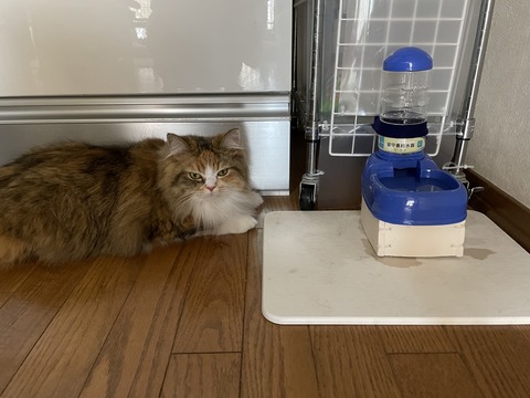 B0C241A4-3E15-4D48-BCF6-54FBF0ADE019