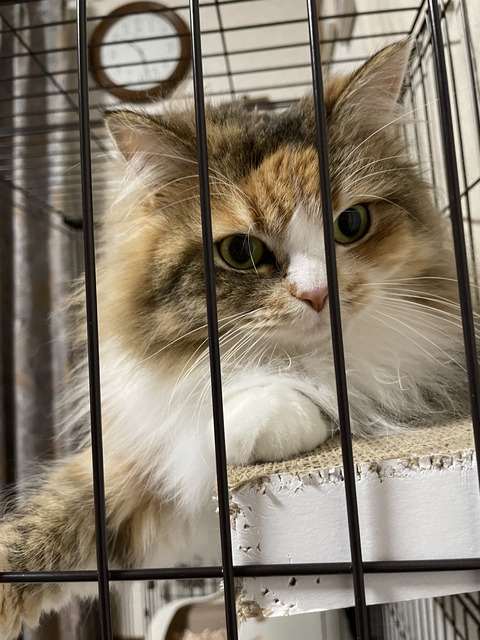 3F86D0F9-E960-4021-B08B-828AA8109691