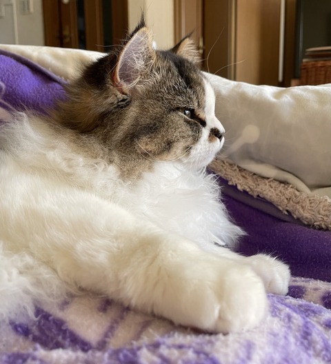 3329EBC8-3E76-4FCF-9606-8ACE744088EC