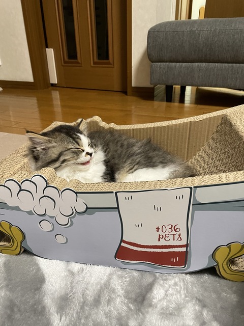 49AF7C50-0E8E-43D5-BCD7-AF55ADFFD1DD