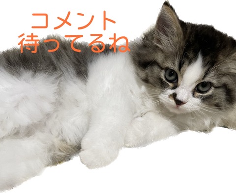 A48C774E-53A8-4CBD-B416-03A389149544