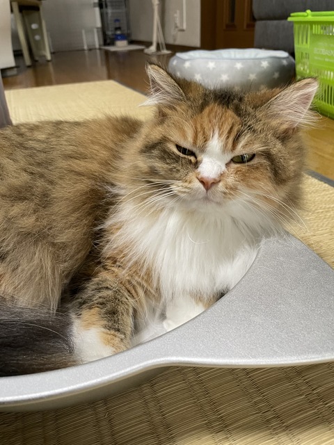 73F5D8AD-7FAF-42F6-956A-80EE0DA2117B