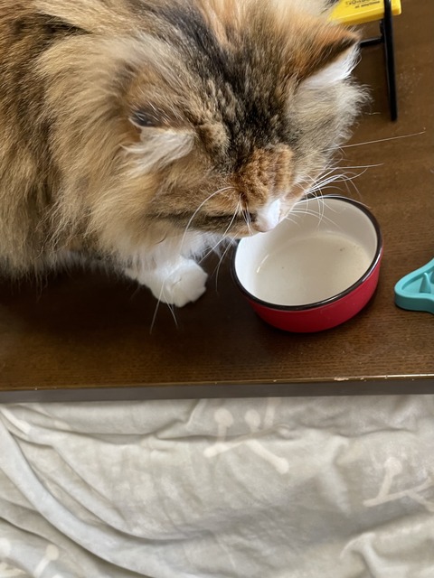 04671E9E-325D-4A7A-BFEA-31B50D4E6307