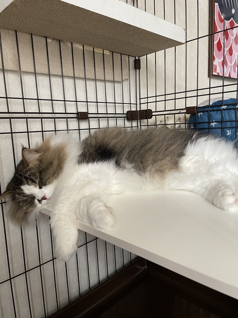 3735A57A-5096-4E96-8015-9A720B36E4EC