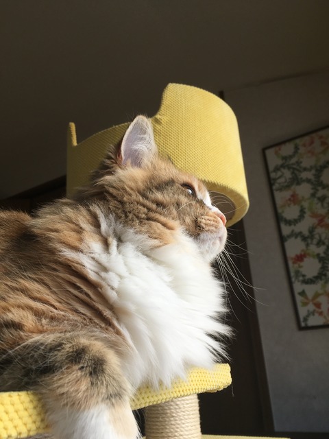 664CC7A3-970D-44FF-A7DA-75EC5B4CE8E5