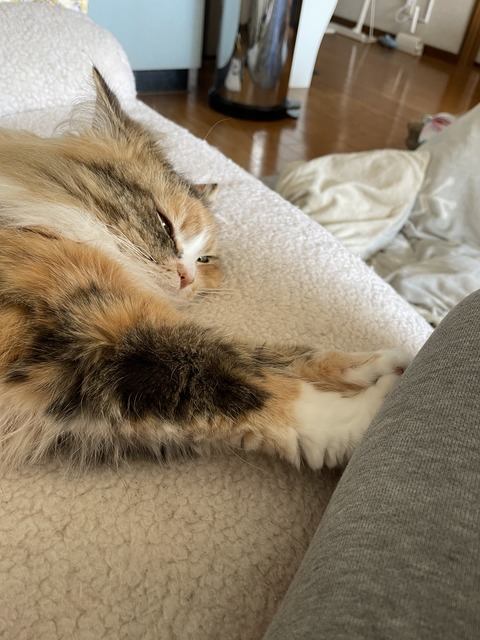 E7368E9B-5CD9-4F66-9B87-BC6C5255A721