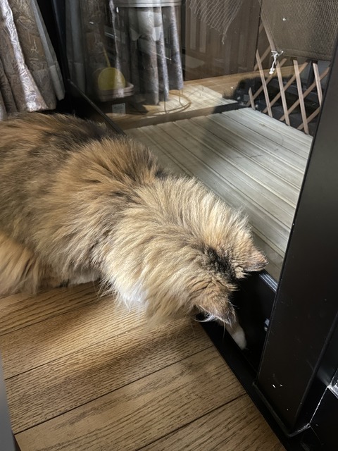 CD2A0328-3B6F-4714-AA83-40D48FDF8A6A