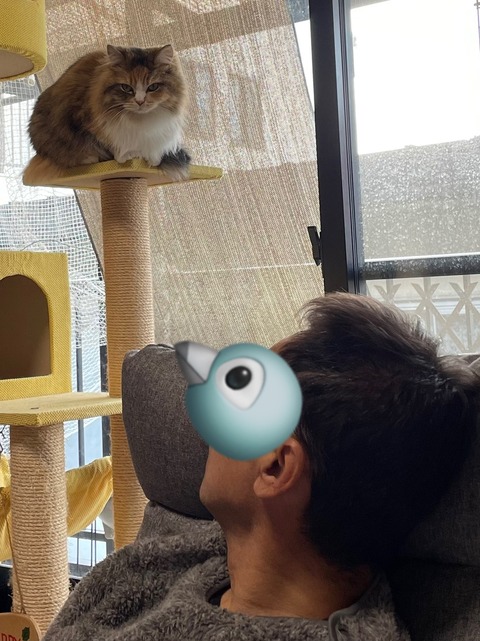 05C04F0D-355E-48D6-BCDA-3862F6D1389E