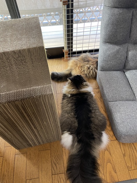 D14FD1F6-5AE6-458A-A459-B72E05618398