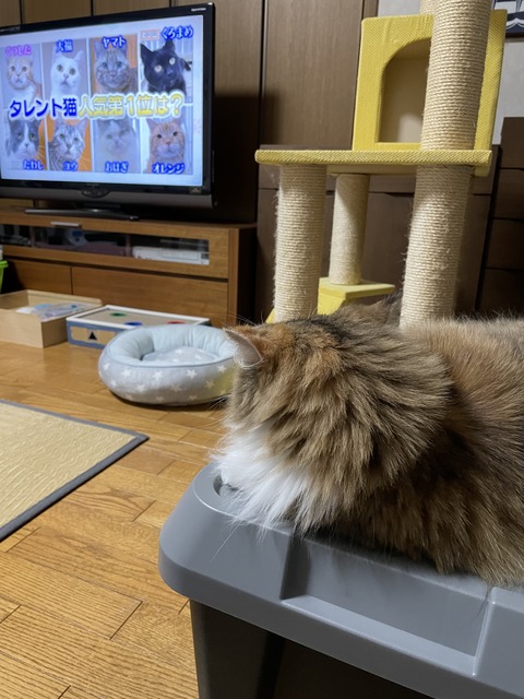 939A0D78-BC5A-4915-9D6E-A66790EA31D5