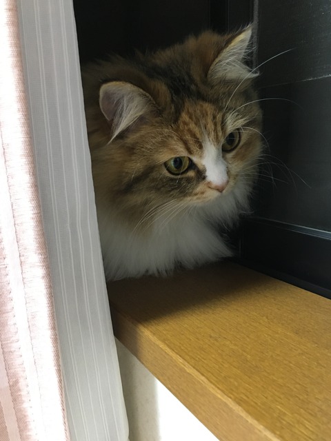 BF5E27A6-7448-40F8-B994-931C762AFD66