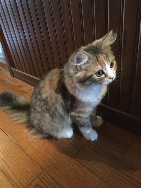 7F90B91D-04E1-4119-AD35-7E33A471E8CC