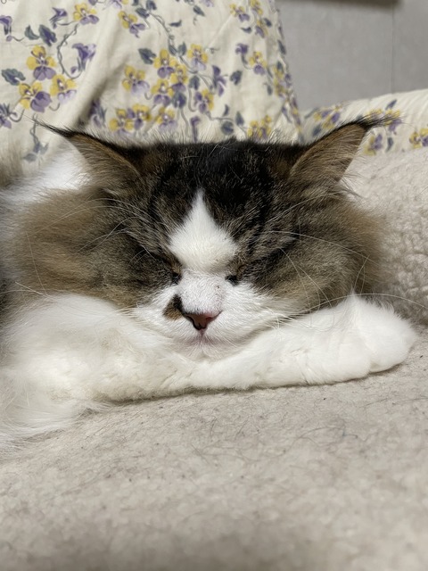 95869064-2B64-48AB-93A2-7AE71173476F