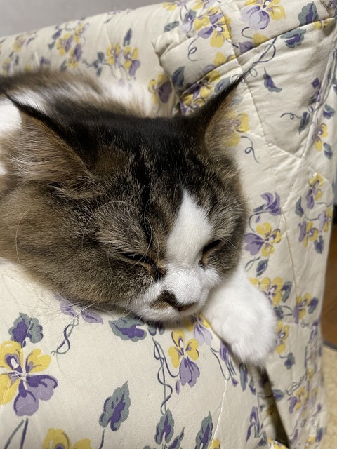 A03771B4-DCC2-4BE5-9DDF-94167F778731