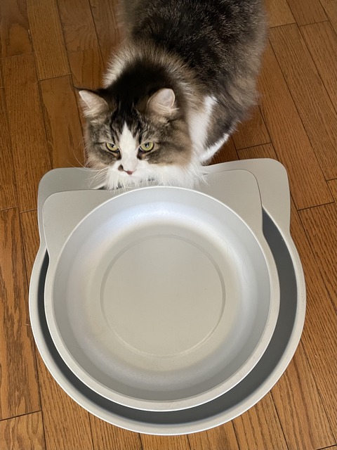 4E7A7269-A6E8-45BE-BDBE-1DAD10615E2B