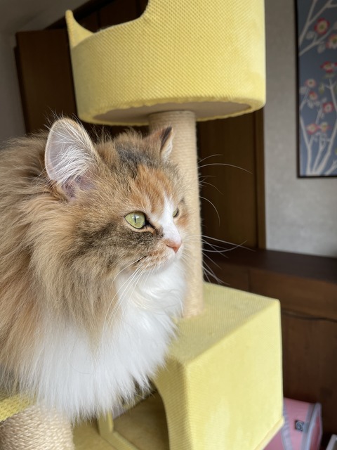 00288218-D5AC-47B8-A395-5FE4E787F3A8