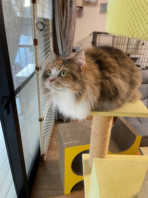 A3EC2104-9742-4799-BBFB-DC1E65748249