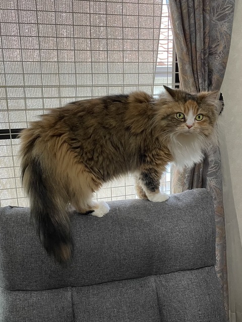 E6BE7E7F-62CE-4630-9BDC-DD693E5073DB