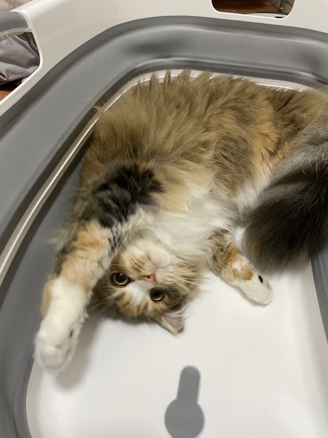 3CC5000B-CBF3-457C-9236-6F704AB25729