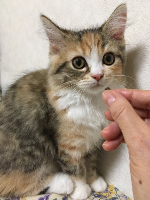 07AA0D5E-6ECC-4260-90E5-0D09AA2B7093