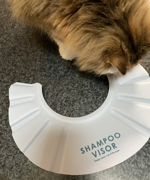 70B68357-BAB5-4384-8544-ACC701259F49