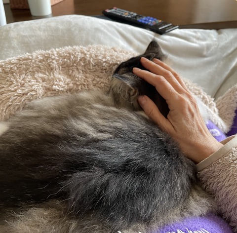 B36E2654-92BD-4BBC-BE71-28FDE6E1CF2A