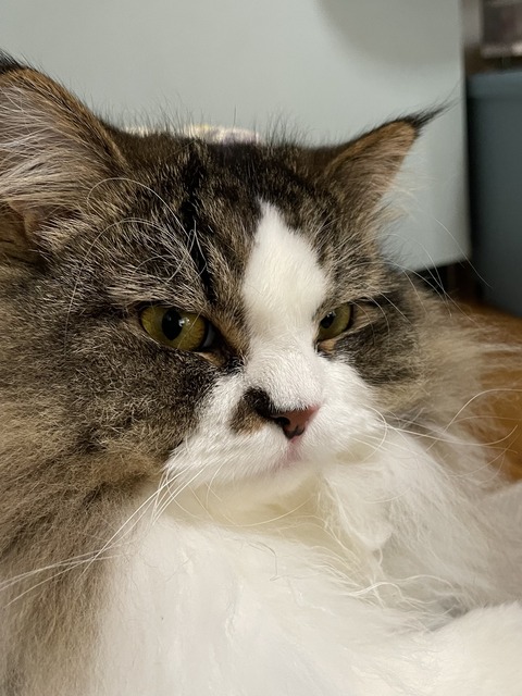 3252CFAC-3299-431D-B2B4-1CAD403A3C4C