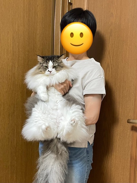 28C0319E-CAF3-4A58-95B8-365585247E67