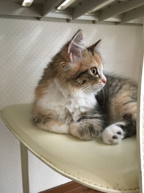 10818F6C-DBF0-408A-9C0E-56D15EAFCF93