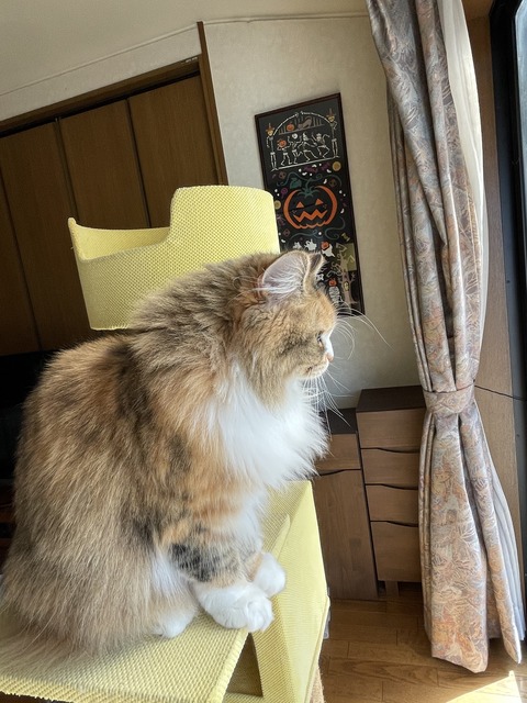 2C9ADC97-CA23-4F36-ADA4-BDE40D049278