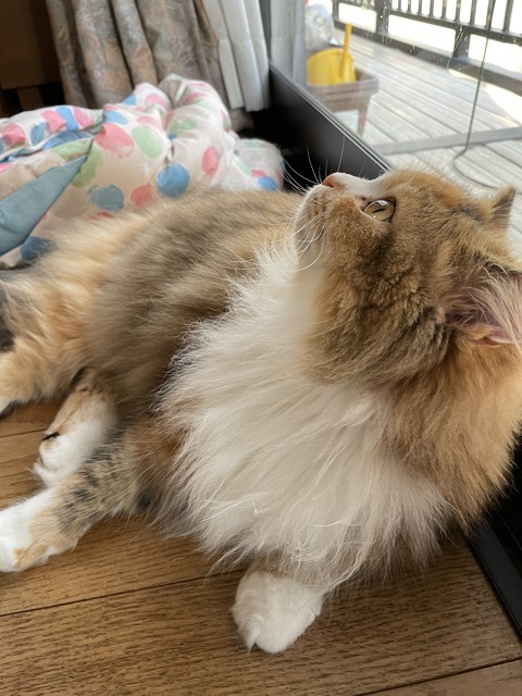 73077559-0A62-42FC-B547-CA086A0EB5AF