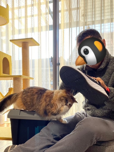 CEF6F6EC-E4A6-46FD-ACDC-EC23C01BF378