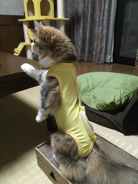 21F65F32-797C-4FDA-86D6-1CFFF2AA08FE