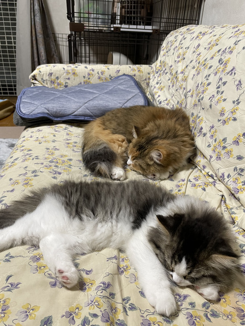 3BB7D6CE-2ABF-4C29-A7F4-5E03847A8628