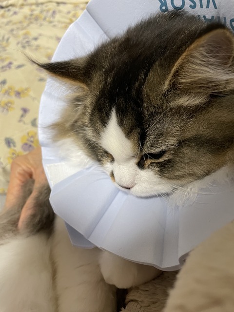 ED99A148-A9A3-497D-B62B-3529CFBADBDC