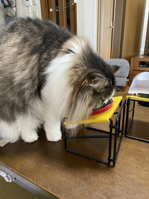 88BA19B0-E760-4400-92F0-A8B2D97741D9