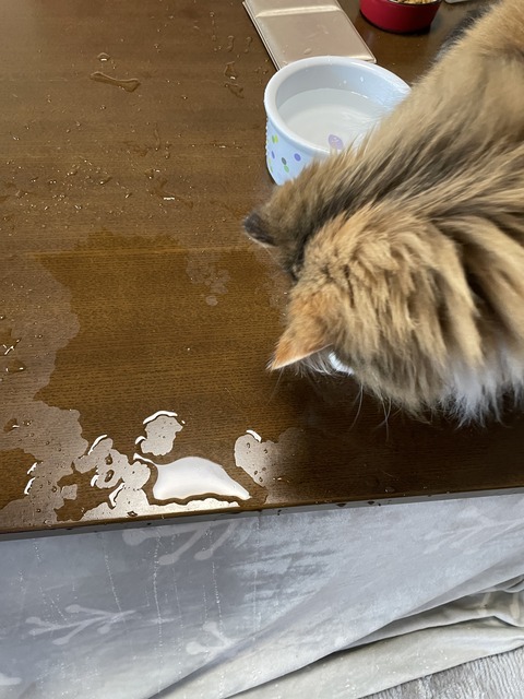 D63A3742-D513-4072-A775-0E8ACA25D853