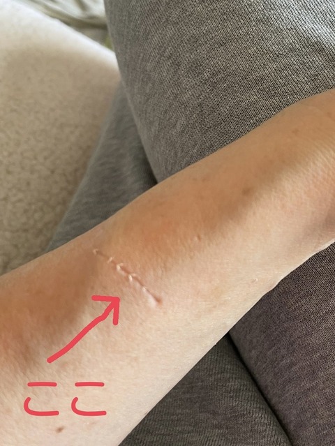 70A7C23B-4BEB-4874-BF6E-A108BDDA209C