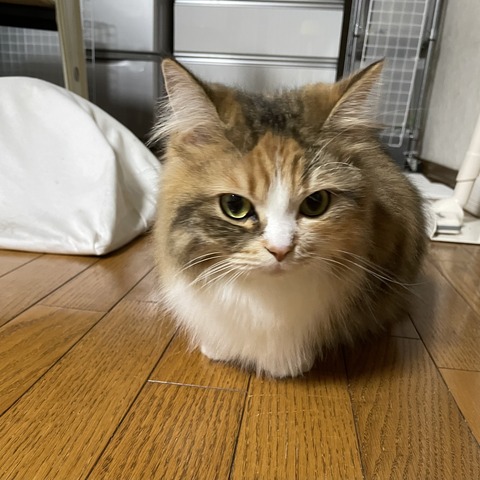 8388BBFA-E390-4C11-9A2F-624A3749E2DB