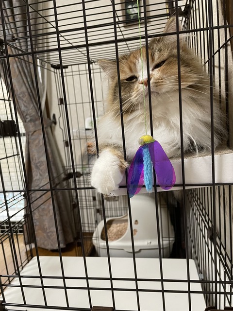 BD9B9FA9-746B-4B42-930D-80C6AE6E7428