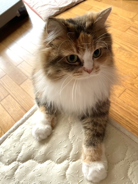 63FA318D-1836-45A6-AC45-38084F2E576F