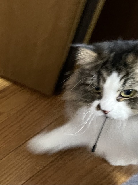 083D877B-97D9-4802-B191-9DD9B1B23441