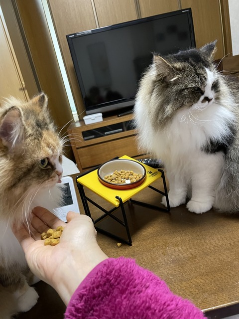 4350E547-E839-498D-A11A-2F9B40661AD4